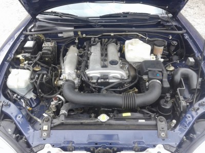 MOTOR.jpg